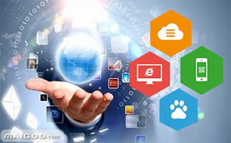 品牌介紹 龍采網(wǎng)站建設(shè) 龍采軟件開發(fā)